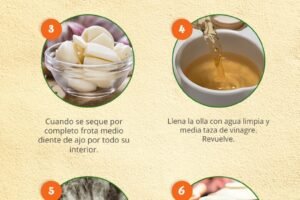 5 consejos infalibles para arreglar tu olla de barro y mantenerla como nueva